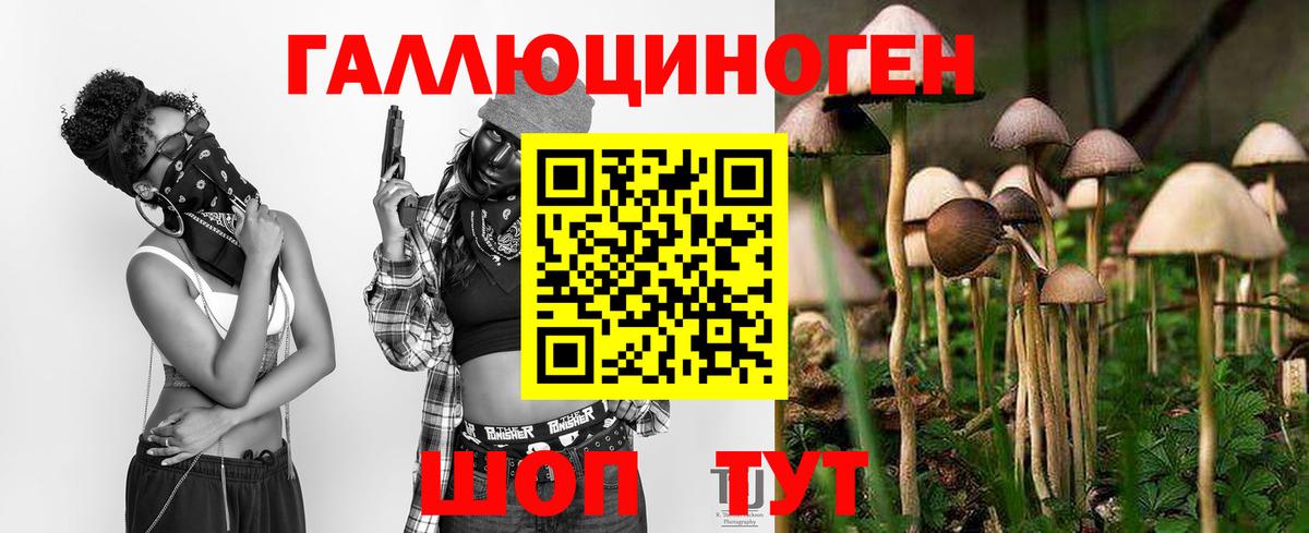 Псилоцибиновые грибы MAGIC MUSHROOMS  Вход с VPN  Железноводск 